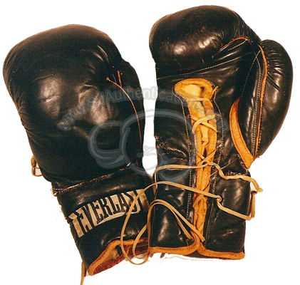 Everlast Training Gloves